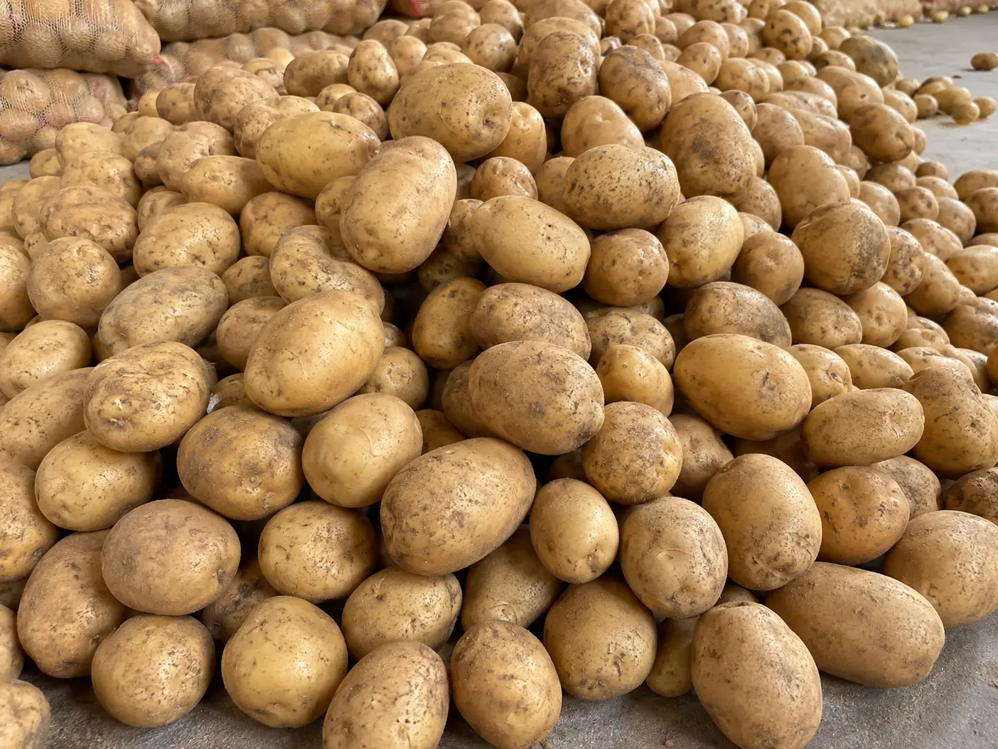Potato preview 2